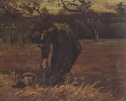 Vincent Van Gogh Peasant Woman Digging Up Potatoes (nn04) Spain oil painting artist